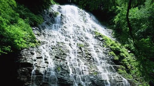 高标准数字化稳定性